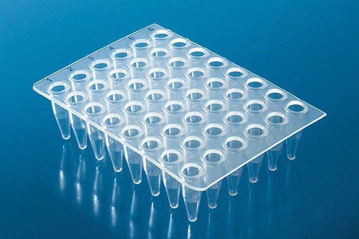48-well PCR-Platten, ohne Rahmen (qPCR), Standardprofil, erhöhter Rand, farblos - 20 Stk.