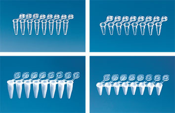 8er-Strips PCR-Gefäße mit anhängenden flachen Einzeldeckeln