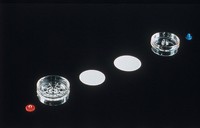 Millipore MITEX Teflonfilter 5µm D.37mm - 100 Stk.
