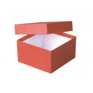 ratiolab® Kryo-Boxen aus Karton, kunststoffbeschichtet, rot, 